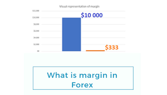 Istilah dalam Trading Forex untuk Trader Pemula