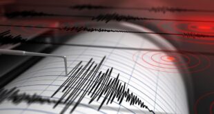 Info Gempa Terbaru Hari ini