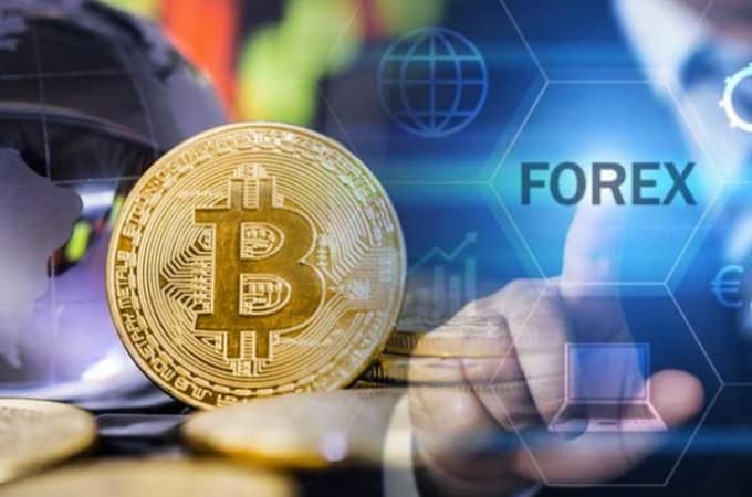 Perbedaan Forex dan Cryptocurrency